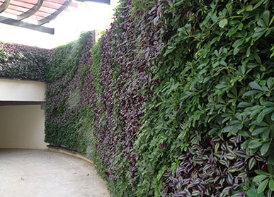 酒店植物墙，车库入口围墙垂直绿化景观