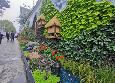 街道植物墙，成都十二桥围墙垂直绿化景观