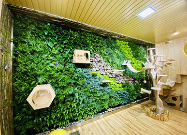 店铺植物墙，宠物梦之屋室内垂直绿化景观