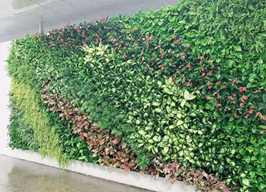 展厅植物墙，成都广良农业展厅垂直绿化景观