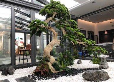 展廳枯山水景觀，安格爾門窗室內(nèi)仿真植物假樹景觀