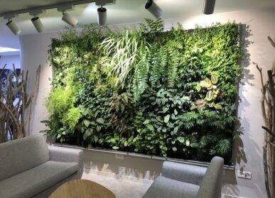 【深圳垂直綠化】洽談室植物墻怎么做？