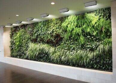 【广州垂直绿化】植物文化墙是什么