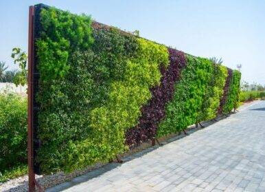 仿真植物圍擋是什么