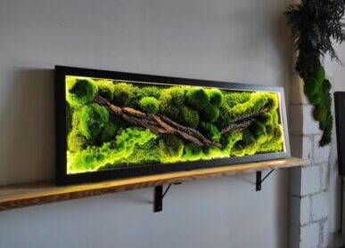 仿真苔藓墙是什么？