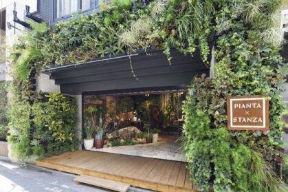 綠植門頭是什么？綠植門頭怎么做