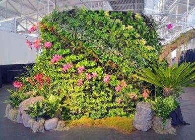 重慶植物墻，重慶植物墻公司廠家