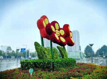 五色草造型，五色草景觀設(shè)計(jì)制作廠家公司
