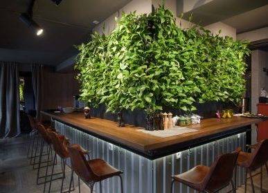 餐饮植物墙，酒吧餐厅室内垂直绿化造景