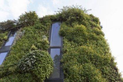 深圳綠植墻與城市規(guī)劃