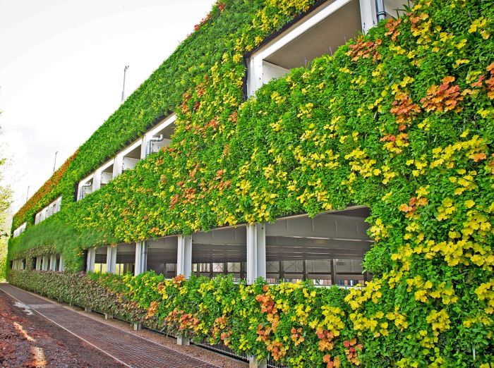 深圳植物墙