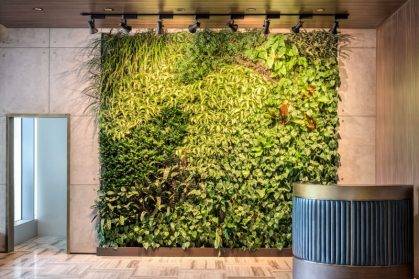 深圳植物墻的綠色建筑影響