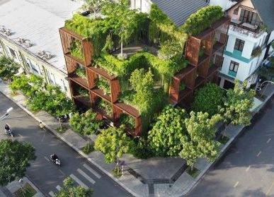 廣州植物墻與城市規(guī)劃