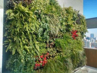 東莞綠植墻的用途心理學(xué)