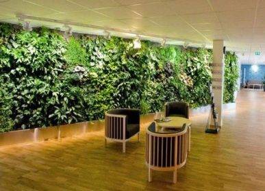 重慶綠植墻的健康影響