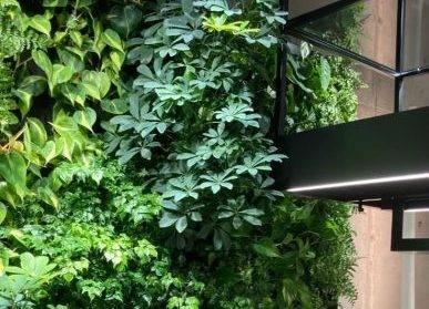 杭州綠植墻美學(xué)：綠色的詩(shī)篇