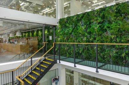 武汉植物墙：城市的自然之美