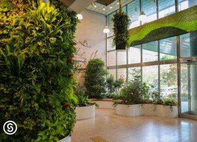 武汉植物墙项目流程：成功的路径