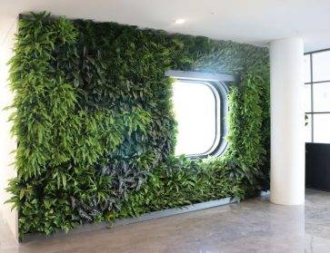 武汉植物墙的艺术之美：城市的画布