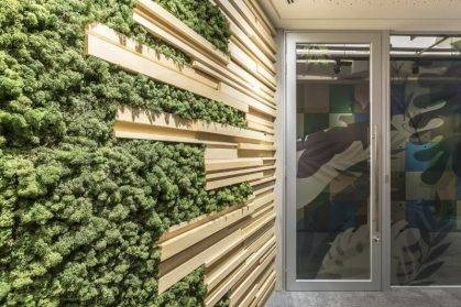 武漢綠植墻的科技創(chuàng)新：未來的綠色趨勢
