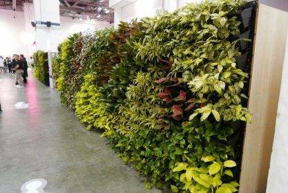 武汉植物墙的生态责任：绿色使命