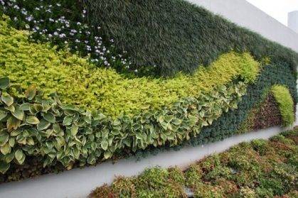 上海植物墻項目流程：成功的路徑