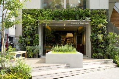 南京植物墻與城市規(guī)劃：美化城市景觀