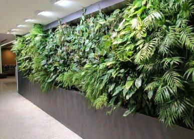 發(fā)現(xiàn)長沙植物墻：城市生態(tài)的未來