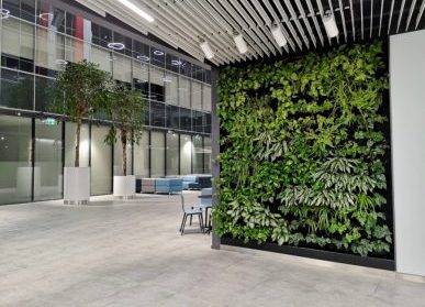 蘇州植物墻工程案例：城市美化的見證