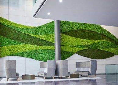 蘇州綠植墻美學：城市景觀的瑰寶