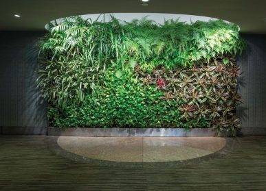 蘇州植物墻與城市規(guī)劃：美化城市景觀