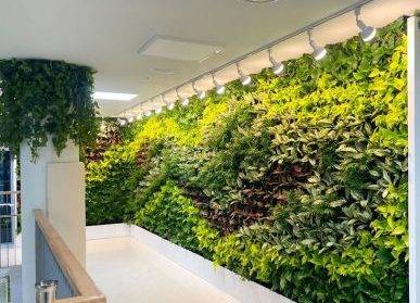 蘇州垂直綠化廠家的定制解決方案