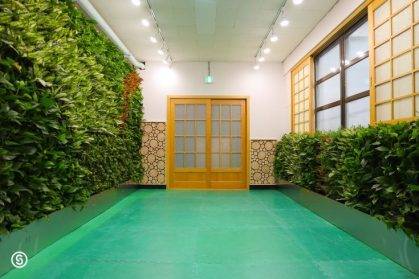 南昌立體綠化：城市生態(tài)的奇跡