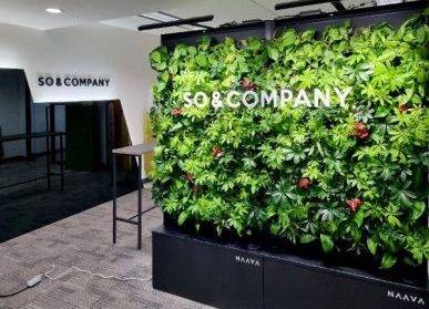 多功能南昌綠植墻：城市美化和空氣凈化