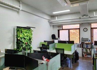 南昌綠植墻與心理健康：大自然的撫慰