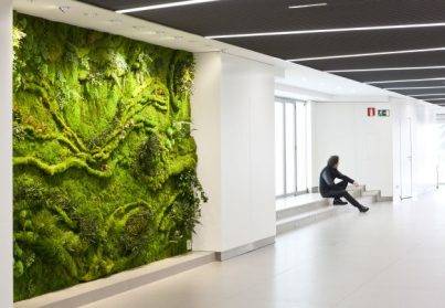 南昌植物墻與城市規(guī)劃：美化城市景觀