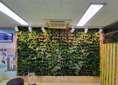 南宁立体绿化与空气质量改善：城市的新呼吸