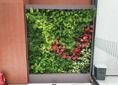 南寧綠植墻的健康益處：提高生活品質(zhì)