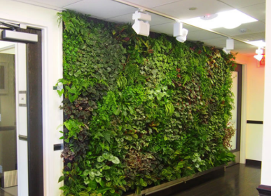 貴陽植物墻的藝術之美：城市的畫布