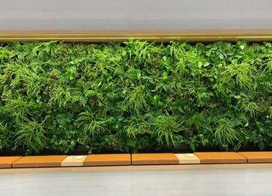 貴陽垂直綠化廠家與社區(qū)互動：共建美好家園