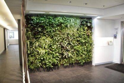 貴陽植物墻與城市規(guī)劃：美化城市景觀