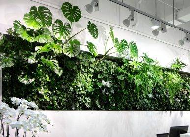 貴陽(yáng)綠植墻的健康益處：提高生活品質(zhì)