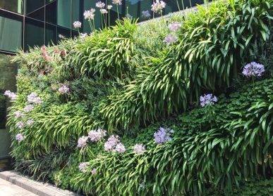 青島植物墻與生態(tài)可持續(xù)性：共同創(chuàng)造綠色家園
