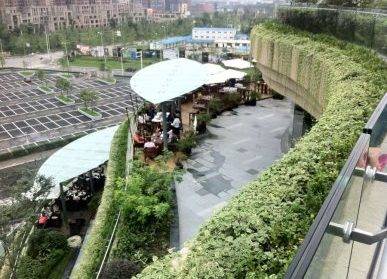 青島植物墻與城市規(guī)劃：美麗城市的設(shè)計(jì)師