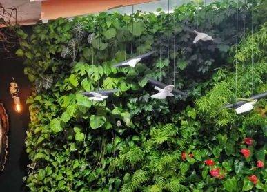 城市新綠：探索植物墻的奇妙之旅