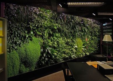 植物墙奇迹：城市空间的生态奇观