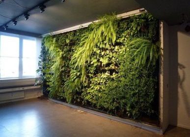 城市之绿：植物墙的自然魅力