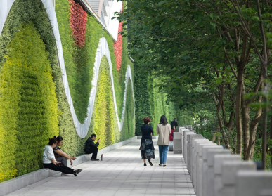 植物墙的设计哲学：生态美学的巅峰之作