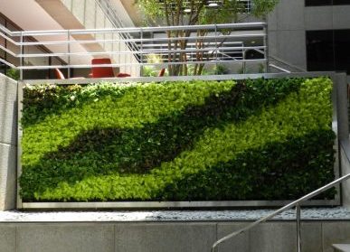 植物墙之心：让城市更美好