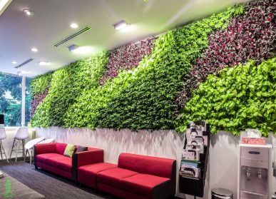 绿意盎然：植物墙点亮城市的生态之光